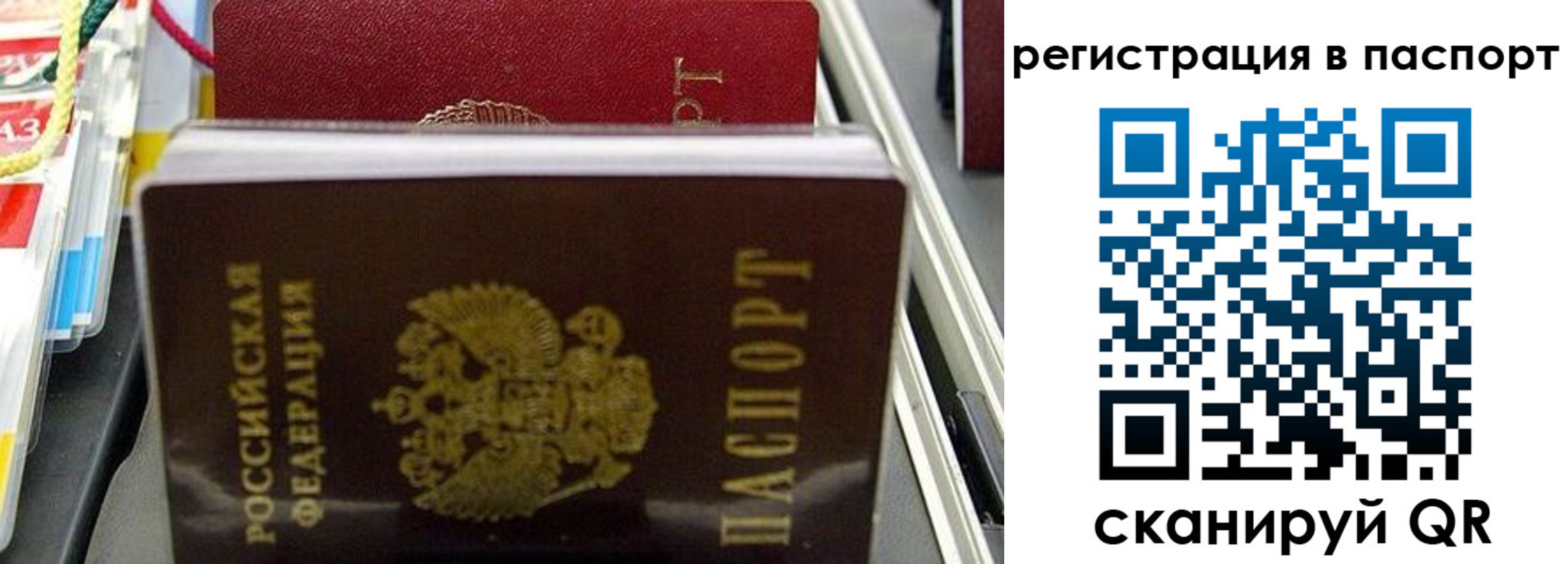 прописка для школы в Большом Камне